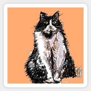 Tuxedo Cat Cute Drawing - on Apricot orange Sticker